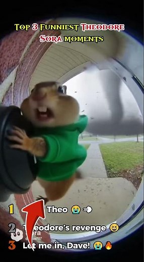 Top 3 Chipmunk Chaos Moments 🐿️🔥