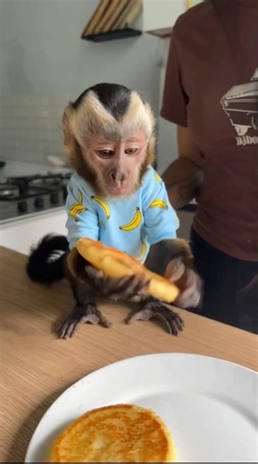 😱#monkey #humor #viral