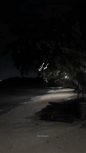 for whtasapp viral video #aesthetic