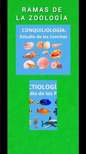 Branches of Zoology #zoology #zoology #animals