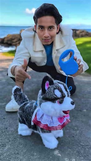 Unboxing the Akta Remote Control Dog Toy