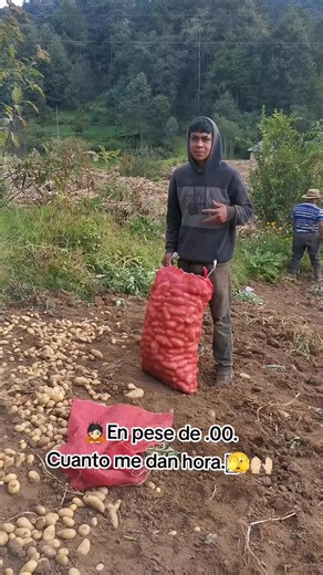 Videos de La Rojita502 🇬🇹🚀😮‍💨 (@la.rojita502_) con “sonido original - DAC”