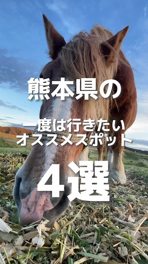 熊本で訪れるべきおすすめスポット4選