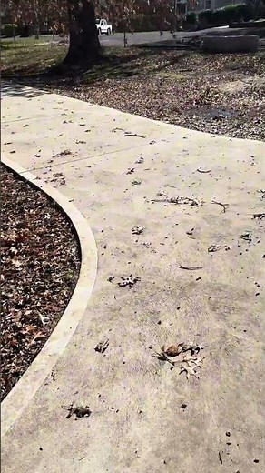 Real difference of Autumn and Winter #shorts #autumn #winter