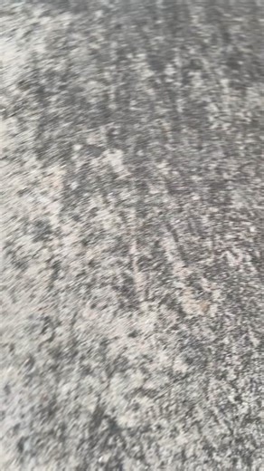 Customizing Toyota Supra Wheels: Installation and Tinting Process