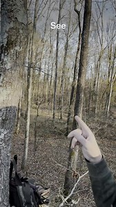 Get ready to view and analyze places to hunt like never before. Through maps with more detail, or recency, or with brand new perspectives, you’ll be able to paint the most detailed picture of any landscape so when you put boots on the ground you’ll know exactly where you’ll want to stand. | onX Hunt