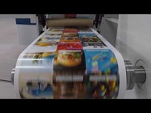 Lake Image camera inspection system on a Domino N610i at Harn Engineering