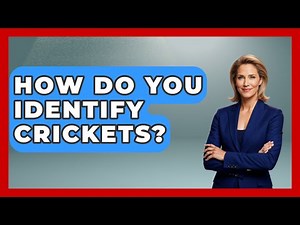 How Do You Identify Crickets? - Insects and Invaders