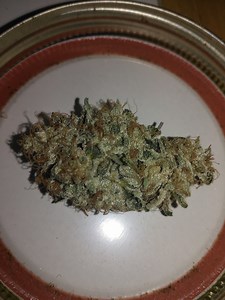 Alien Pebbles | Marijuana Strain Reviews