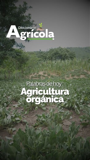 ¿Qué es agricultura orgánica? Descúbralo en el #DiccionarioAgrícola 📖🔍 #ElPuebloDignoEsPrimero | Ministerio de Agricultura, Ganadería y Alimentación - MAGA
