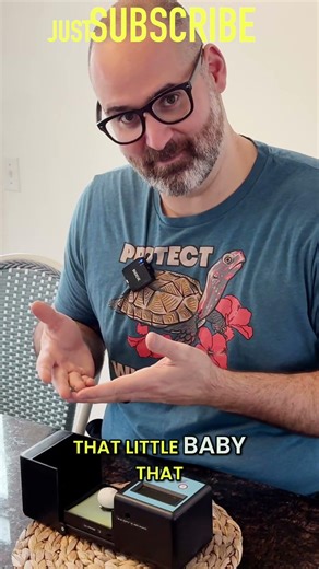 Turtle Egg Heartbeat Detected! #shorts