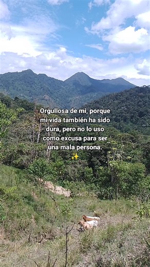 ❤️ #foryou #campo #vida #cancion