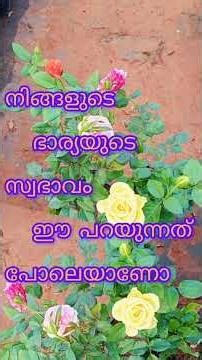 നിങ്ങളുടെ ഭാര്യയുടെ സ്വഭാവം ഈ പറയുന്നത് പോലെയാണോ #shortsvideos