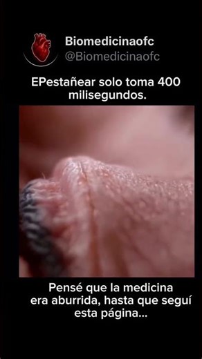 ​🧪 400 MILISEGUNDOS: La Ingeniería de la Lágrima que Salva tu Córnea 🧬