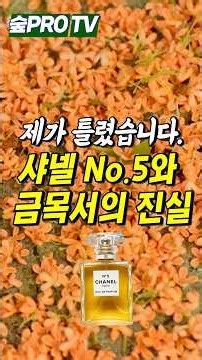 샤넬 No 5와 금목서의 진실