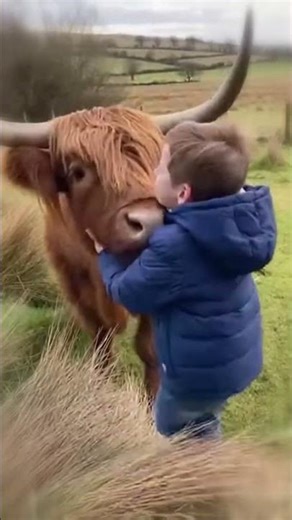 Boy Loves His Cow Friend So Much 💖
