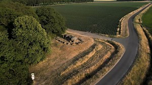 Farmland, Plot, Trees, Forest
