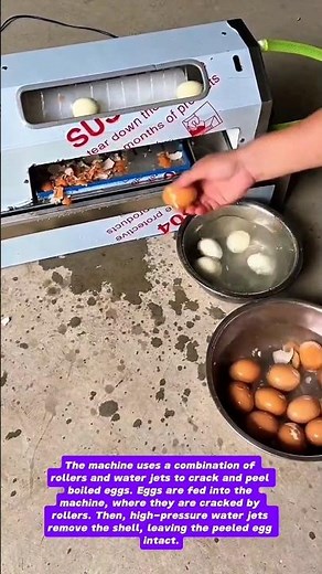 Automatic Egg Peeling Machine: Is It Worth It?