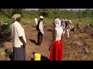 NSF Documentary: Engineering a Difference