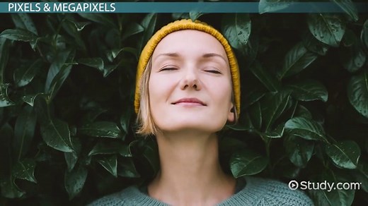 Digital Photography Overview, History & Uses