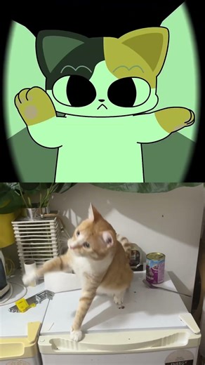 Keeping Active. Exercise time.