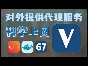 让Unraid全局都可以上外网，适配分流规则，还能提供代理服务的V2raya —— Unraid Docker 67