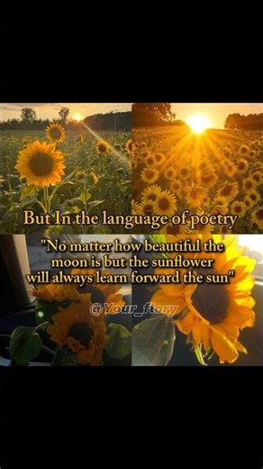 Loyalty 🌻✨ #subscribe #100million #goviral #loyalty #love #lyrics #feeling #sunflower #edit #new