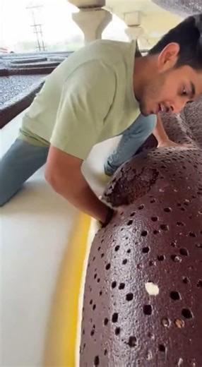 climbing on the largest orea biscuit #shortsfeed #shorts