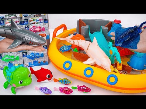 [Toy asmr] Robo Dolphin Playset & Zuru Robo Shark & Harp's Aquarium ASMR Satisfying with Unboxing