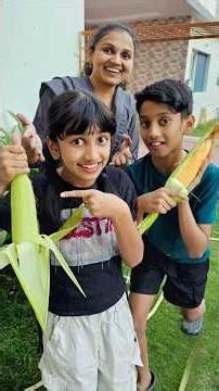 Tom 🍓 Jerry (Soumya&Ammu)Real End Twist😍🎈 #shorts #viral #v5familyshow