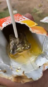 Disgusting! Pakistani owned spaza shop newlands west Department of Health - KZN | Name Shame & Expose Durban