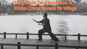 Yang Style Tai Chi and Chen Style Tai Chi lineage holder, Master Arthur Du is showing you how to do the White Crane Spreads its wings in detail as the fourth lesson for 24 forms. Interested in checking the other 24 form lessons? Lesson 1: preparation and opening form: https://www.facebook.com/ArthurDuTaiChi/videos/170315951017260/ Lesson 2: Footwork: https://www.facebook.com/ArthurDuTaiChi/videos/627562044501679/ Lesson 3: Part the Wild Horse's Mane: https://www.facebook.com/399937893358061/vide
