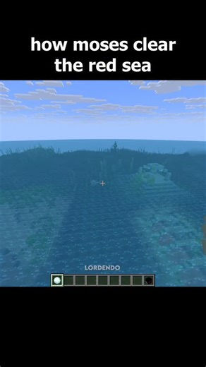 Endo on Instagram: "works in java, idk bout bedrock #minecraft #reels #lordendo"