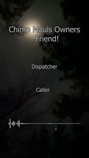 Travis the chimp mauls owners friend! #chimpanzee #tiktok #fyp #disturbing #911discovery #911calls #911