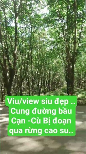 Super beautiful view ..Bau Can - Cu Bi route, the section passing through the rubber forest..