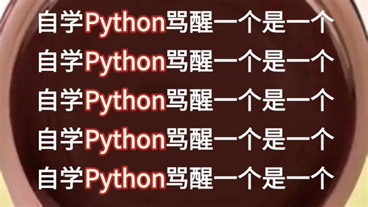 【劝退】自学Python骂醒一个是一个！一个很变态...但能让你三个月搞懂Python的“神秘偏方”！零基础起码少走半年弯路！