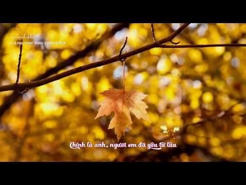 IT IS YOU (I HAVE LOVED)|| Dana Glover || Lyrics Video + Vietsub