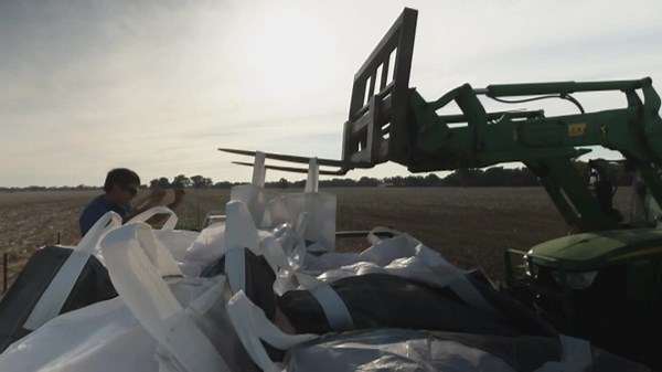 Agriculture sector could lose its competitive edge as productivity slows