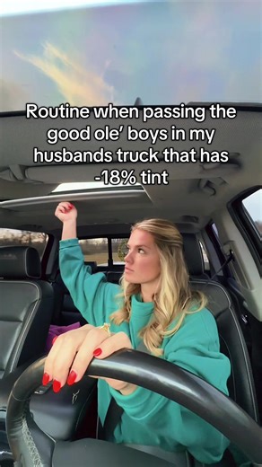 I’m really just minding my business officer! #duramax #windowtint | Window Tint