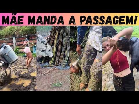 HARDNESS in the ROÇA: here the stick breaks, the snake smokes and separates the men from the bo...