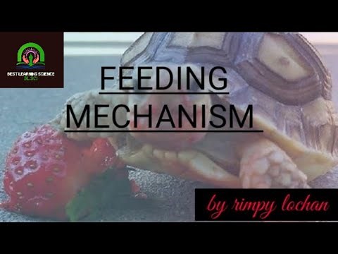 FEEDING MECHANISM ||PLANTS AND ANIMALS ||BL SCI