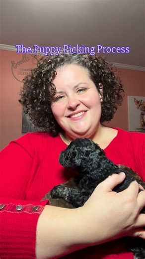 Here’s a quick breakdown on how I do the puppy selections. It’s important to me that my puppies are with the right families, so I rely heavily on the results of the temperament test to make sure everyone is happy. At this time I do still have spots for each litter that are up for grabs, so contact me directly if you’d like more info! And ask me about my Small Business Saturday deal! #boodlespoodles #boodlesstandardpoodles #standardpoodlepuppy #standardpoodle #standardpoodlepuppies #standardpoodl