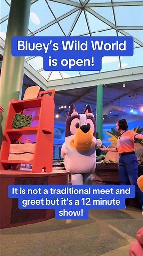 Bluey’s Wild World at Disney’s Animal Kingdom — Everything You Need to Know
