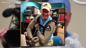 26K views · 89 reactions | What are your spring break plans? Even if you're staying in Minnesota, you can visit the "tropics" at SEA LIFE Aquarium! https://kare11.tv/2G6oBRH | KARE 11 | Facebook