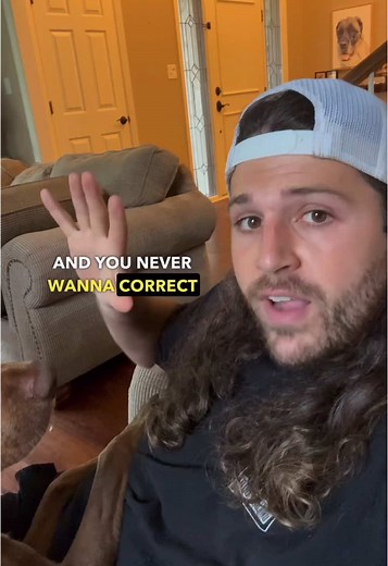 Effective Techniques to Stop Dog Barking