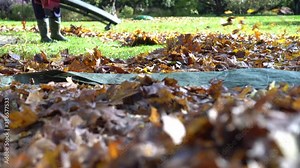 Worker with leaf blower blowing leaves from lawn. Gimbal motion