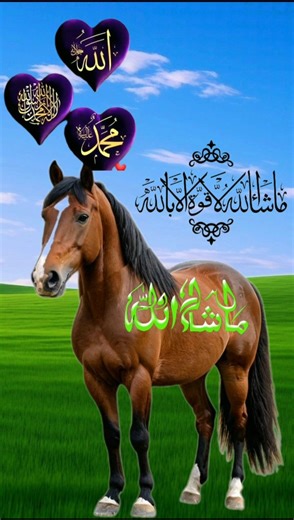 Epic Bull Transformation! 🐂💥 | 4 Animal Heads VFX Masterpiece 🇺🇸♉