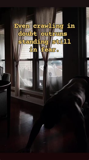 Ryan Taylor (@ryan.taylor67)’s videos with som original - Shelby Company