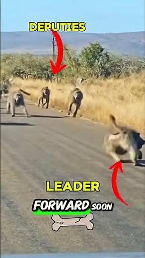 Predators That Messed With the Wrong Prey | Instant Regret