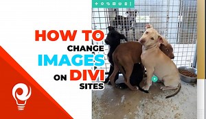How to change images on Divi built websites - ideaSwell